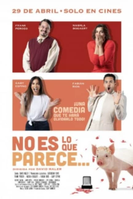 No es lo que parece