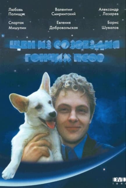 Щен из созвездия «Гончих псов»
