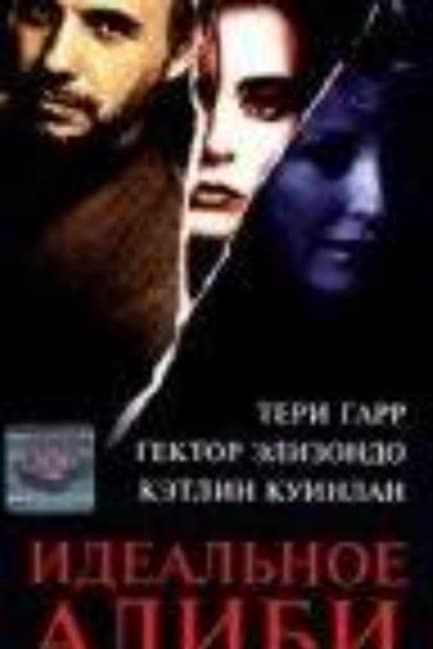 Идеальное алиби