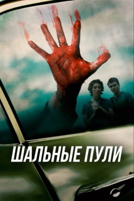 Шальные пули