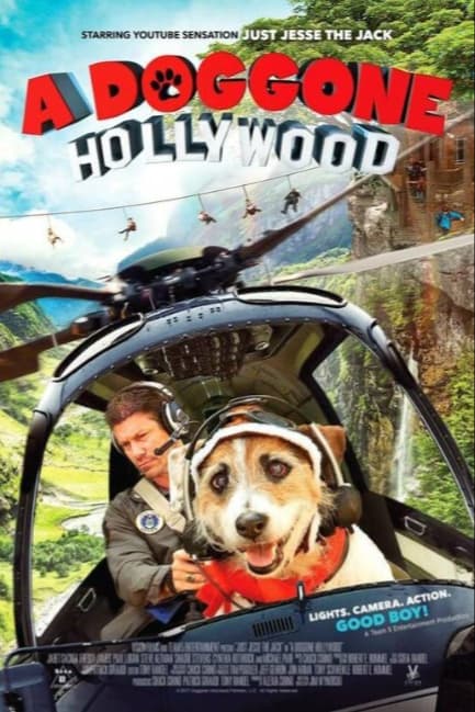 Собачий побег из Голливуда