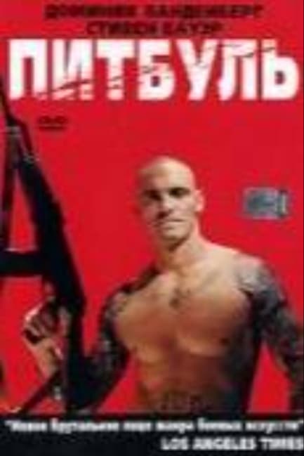 Питбуль