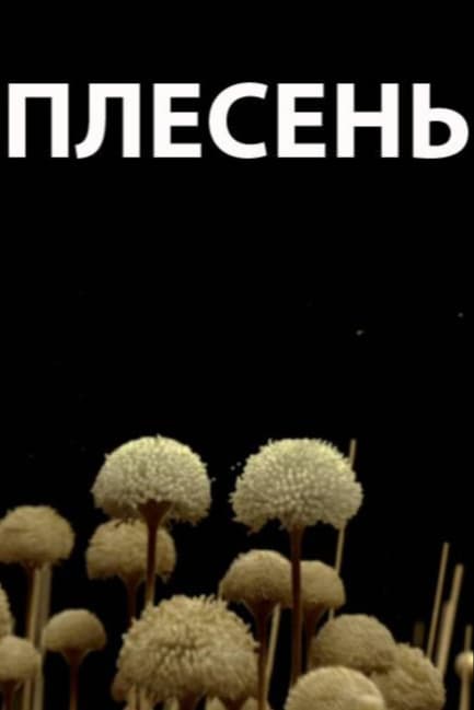 Плесень