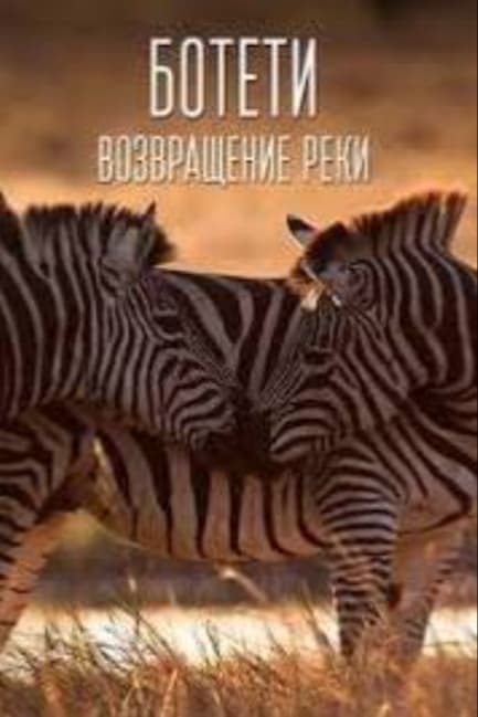 Ботети — возвращение реки