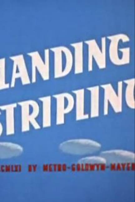 Желаем мягкой посадки