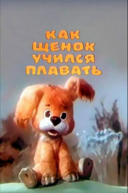 Как щенок учился плавать