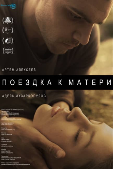 Поездка к матери