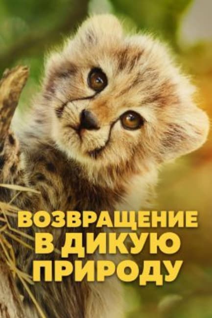 Возвращение в дикую природу
