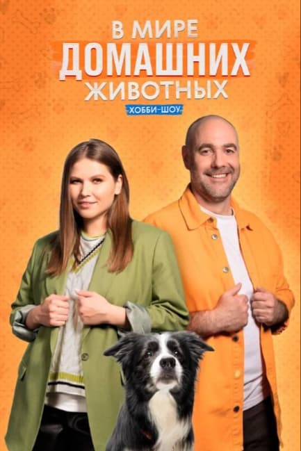 В мире домашних животных