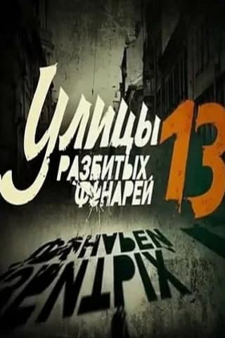 Улицы разбитых фонарей 13