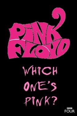История Pink Floyd: Кто из них Пинк?