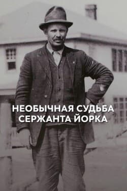 Необычная судьба сержанта Йорка