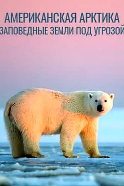 Американская Арктика – Заповедные земли под угрозой