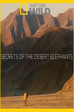 Nat Geo Wild: Хоаниб - секреты слонов пустыни