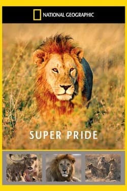 National Geographic. Прайд
