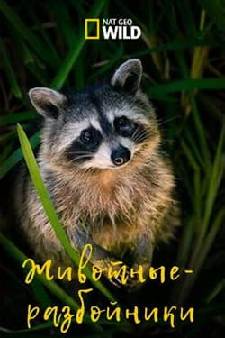 NGW: Изгои среди животных