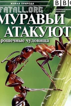 BBC. Живая природа