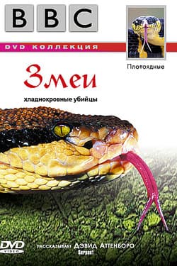 BBC: Змеи