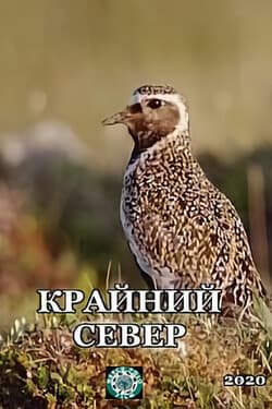 Крайний север