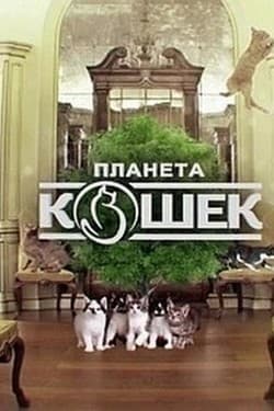 Планета кошек