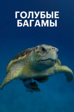 Голубые Багамы