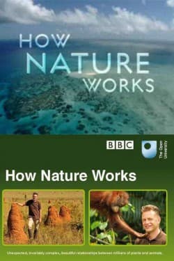 BBC. Как устроена природа