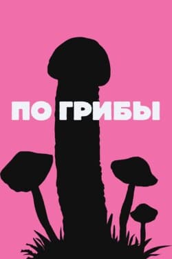 По грибы