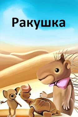 Ракушка
