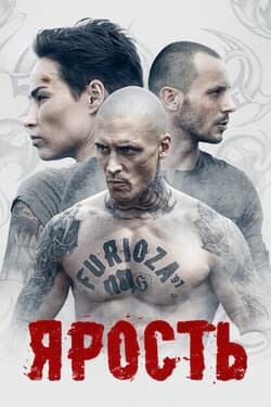Ярость