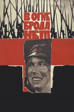 В огне брода нет