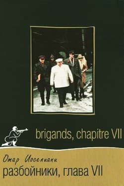 Разбойники. Глава VII
