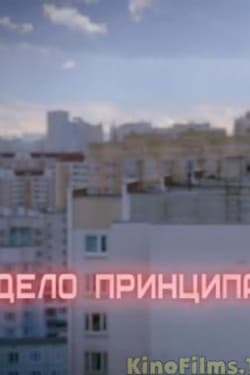 Дело принципа