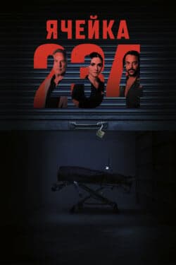 Ячейка 234