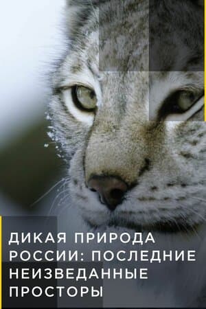 Дикая природа России: Последние неизведанные просторы