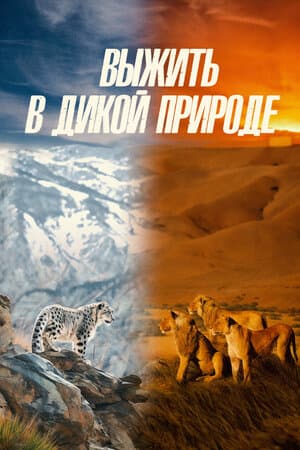 Выжить в дикой природе
