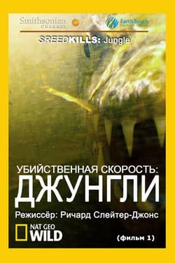 Убийственная скорость