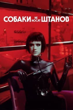 Собаки не носят штанов