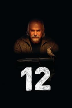 Двенадцать