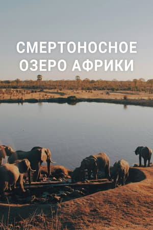 Смертоносное озеро Африки