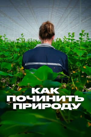 Как починить природу