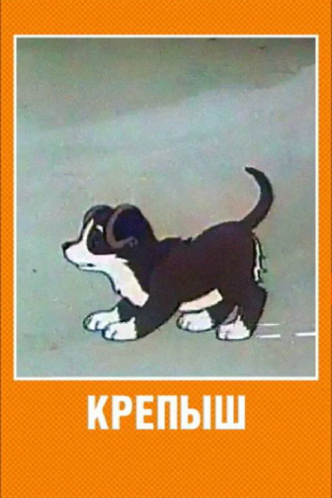 Постер
