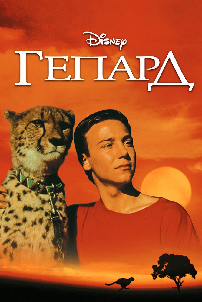 Постер