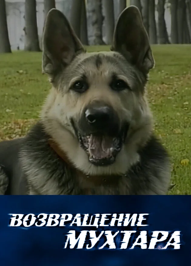 Постер