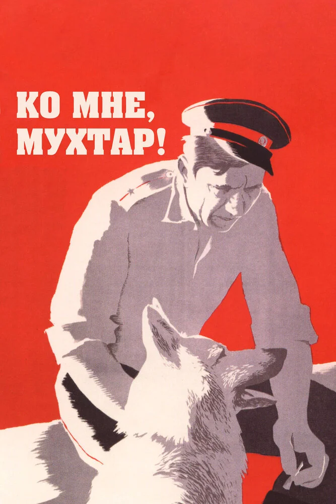 Постер