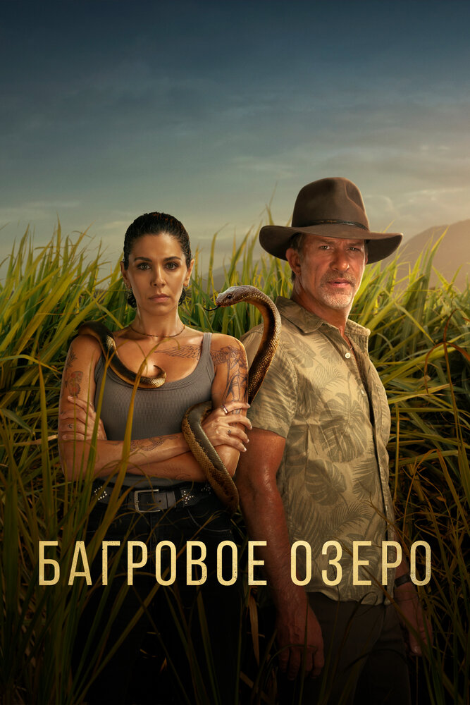 Постер
