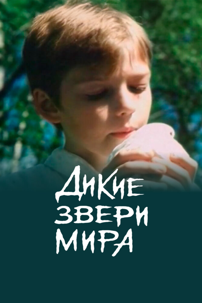 Постер