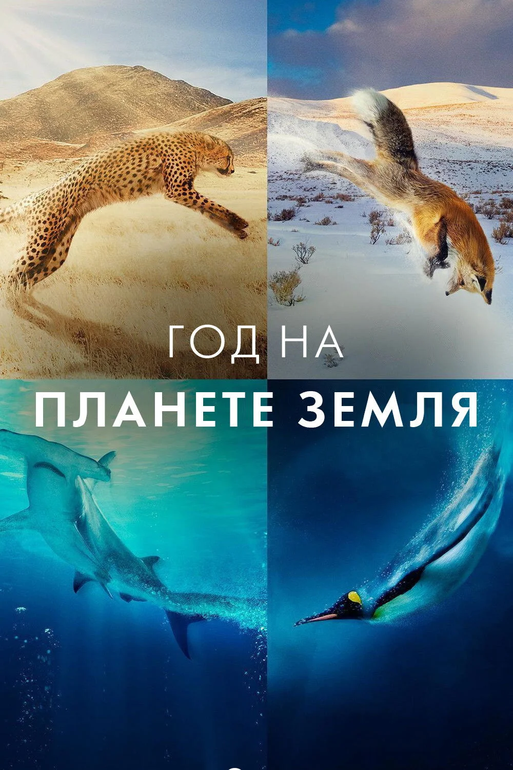 Постер