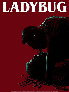 Божья коровка