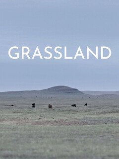  Grassland 
